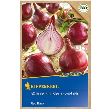 BIO Cibule sazečka Red Baron - Allium cepa - bio cibulky - 50 ks