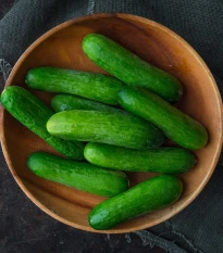 Okurka salátová Baby F1 - Cucumis sativus - semena okurky - 10 ks