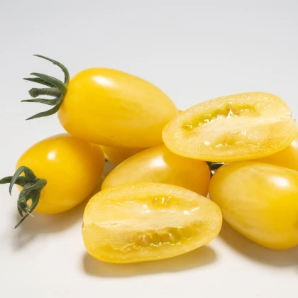 Rajče Dattolime F1 - Solanum lycopersicum - semena rajčete - 6 ks