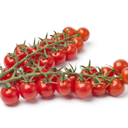 Rajče Gourmelito F1 - Solanum lycopersicum - semena rajčete - 6 ks