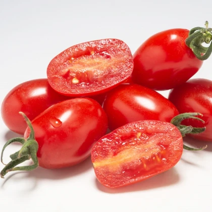 Rajče Dattored F1 - Solanum lycopersicum - semena rajčete - 6 ks