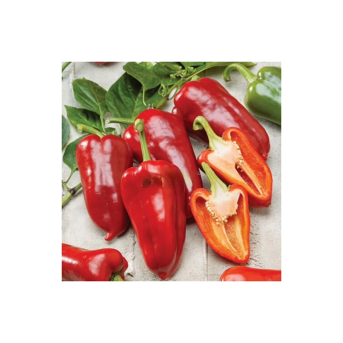 Paprika roční Rafaelus F1 - Capsicum annuum - semena papriky - 15 ks