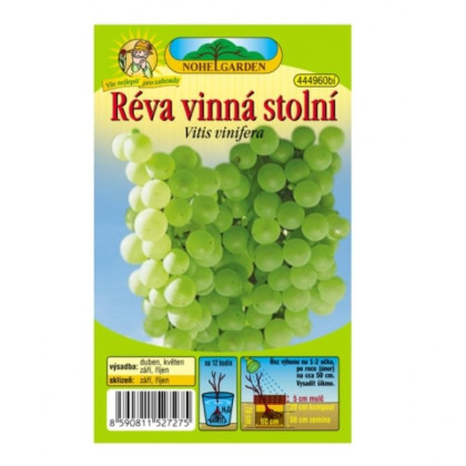 Réva vinná - Vitis vinifera - sazenice révy - 1 ks