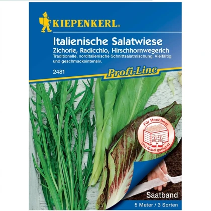 Semena italských salátů - výsevní pásek - 5 m