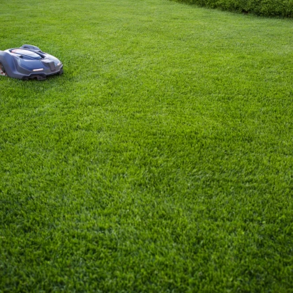 Trávník Comfort pro robotické sekačky - semena Kiepenkerl - 2 kg