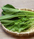 Semena asijských salátů - výsevný pásek - 5 m
