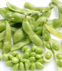 BIO Sója Green Shell - Glycine max - bio semena sóji - 20 ks