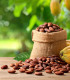 Kakaové boby BIO - celé plody nepražené - 200 g