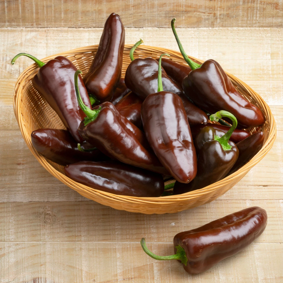 BIO Paprika Sweet Chocolate - Capsicum annuum - bio semena papriky - 7 ks