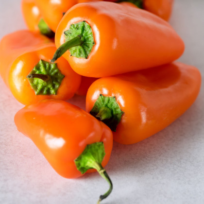 Paprika Snacking Orange - Capsicum annuum - semena papriky - 5 ks