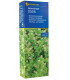 Zelené hnojení Seradella - semena - 400 g