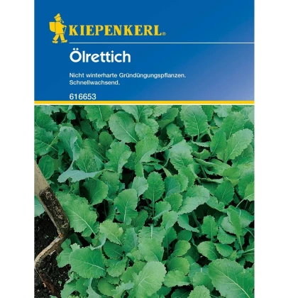Zelené hnojení - Ředkev olejná - semena - 75 g