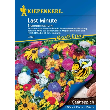 Směs letniček last minute - výsevný pásek - 15x150 cm