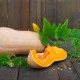 Dýně máslová Bush Butternut - Cucurbita moschata - semena dýně - 6 ks