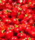 Paprika Topepo rosso - Capsicum annuum - semena papriky - 20 ks