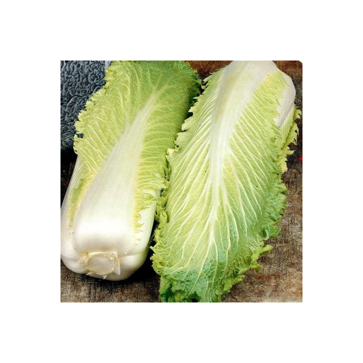 Bio pekingské zelí Granat - Brassica rapa pekinensis - bio semena zelí - 100 ks