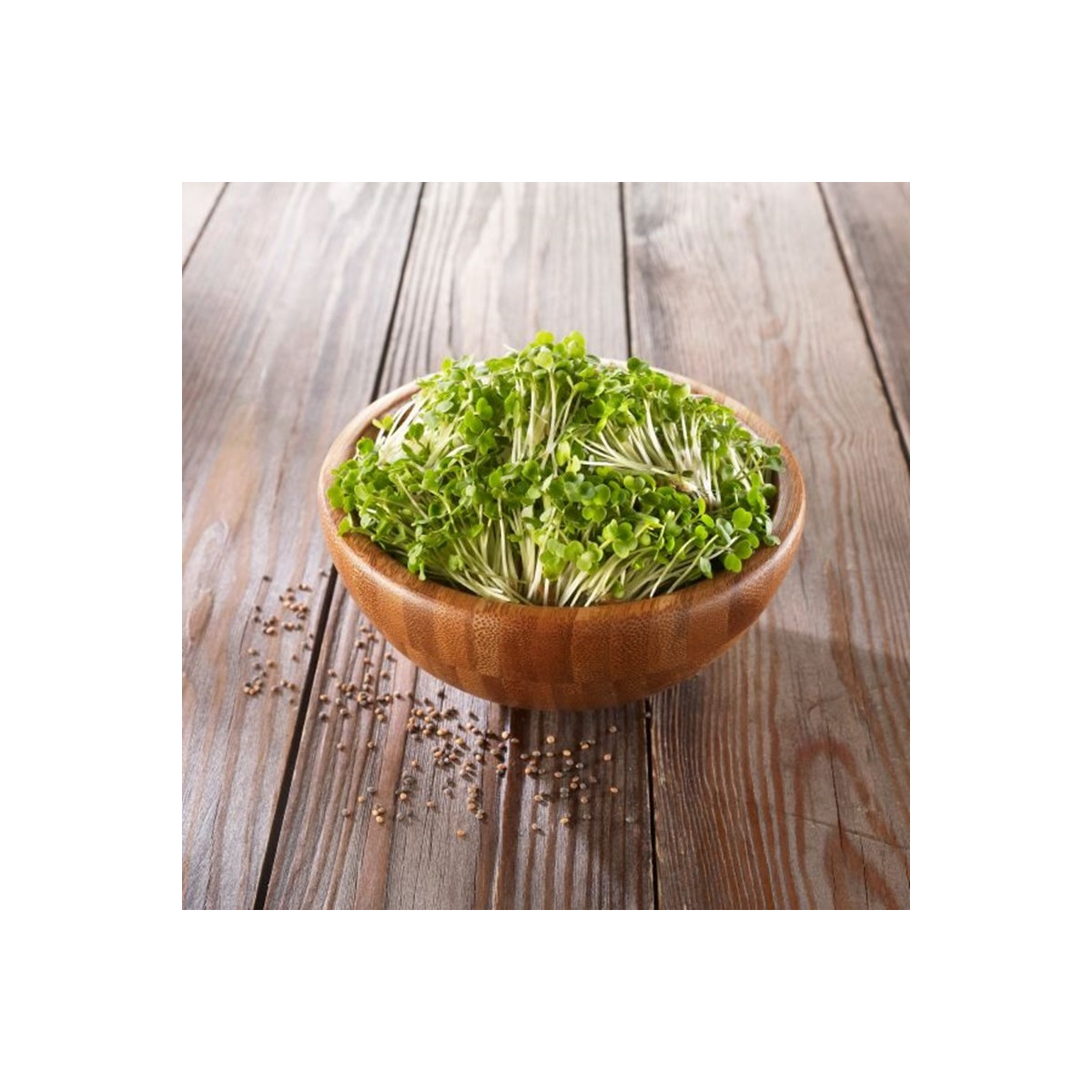 BIO Rukola - bio semena na klíčení - 50 g