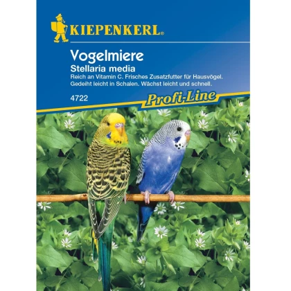 Ptačinec pro ptáky - semena Kiepenkerl - 1 ks