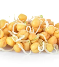 BIO Cizrna beranní - bio semena na klíčení - 200 g