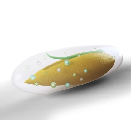 Dosevové perly na dosev trávníku - semena Kiepenkerl - směs - 100 g