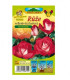 Růže velkokvětá keřová červenobílá - Rosa - prostokořenné sazenice růže - 1 ks