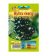 Rybíz černý - Ribes sylvestre - prostokořenné sazenice rybízu - 1 ks