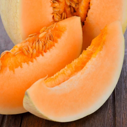 Meloun cukrový Sweet Granite - Cucumis melo - semena melounu - 10 ks