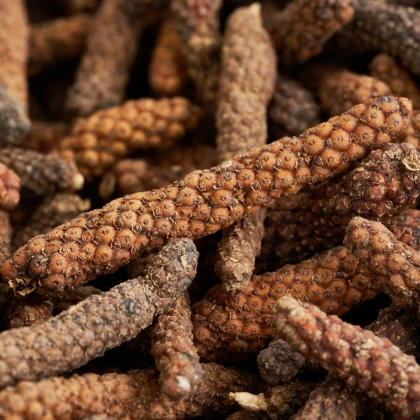 Pepř dlouhý - Piper longum - semena pepře - 10 ks