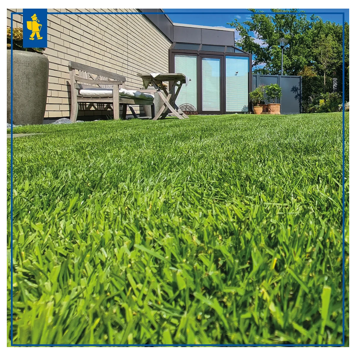 Trávník Comfort pro robotické sekačky – travní semeno – Kiepenkerl