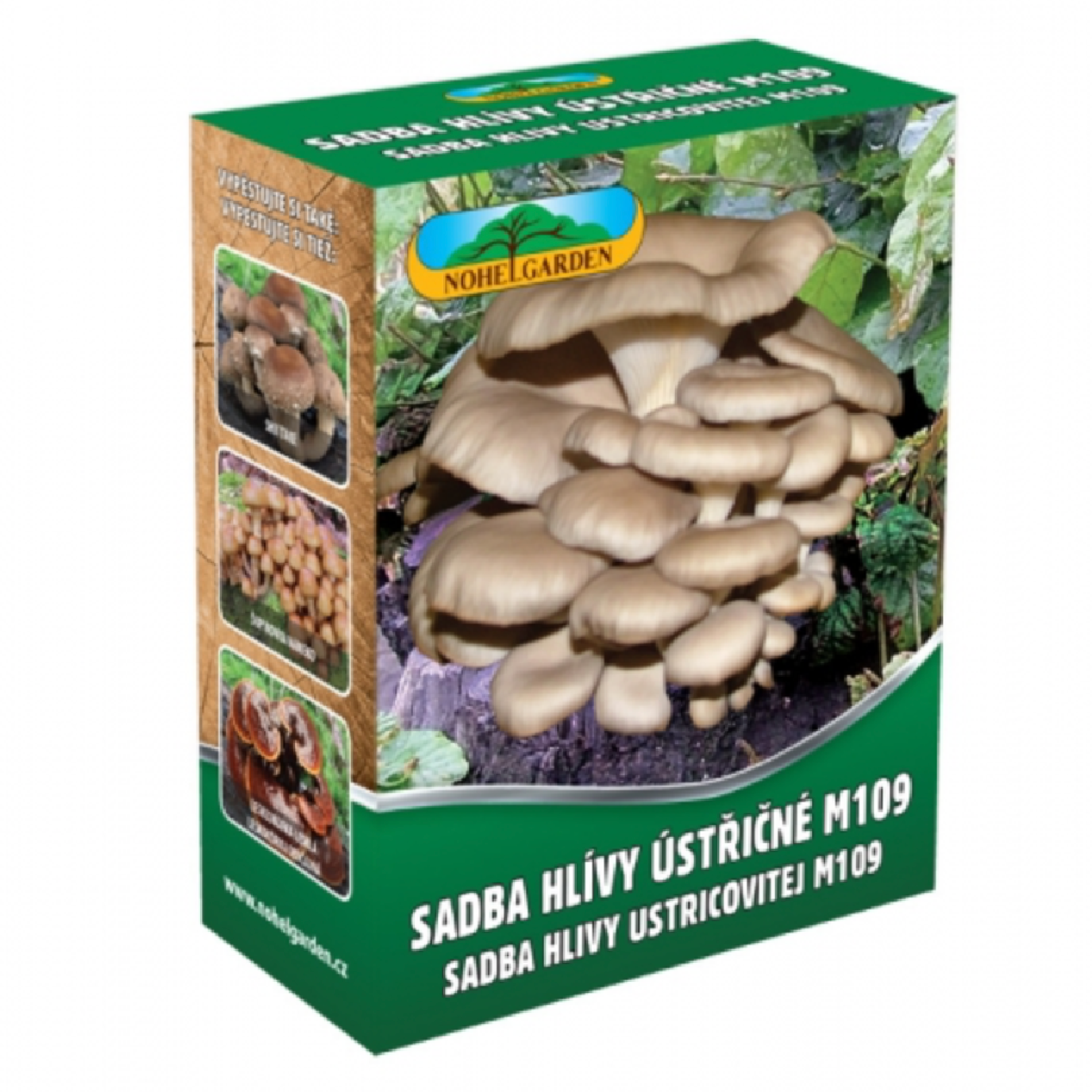 Hlíva ústřičná - Pleurotus ostreatus - sadba - 250 ml