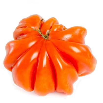 Rajče Coure di Bue - Solanum lycopersicum - semena rajčete - 10 ks