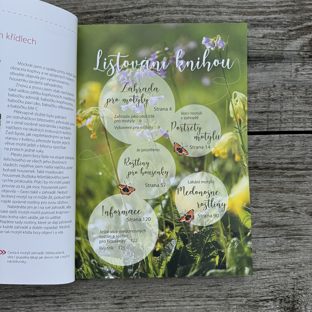 Moje motýlí zahrada - kniha - 1 ks