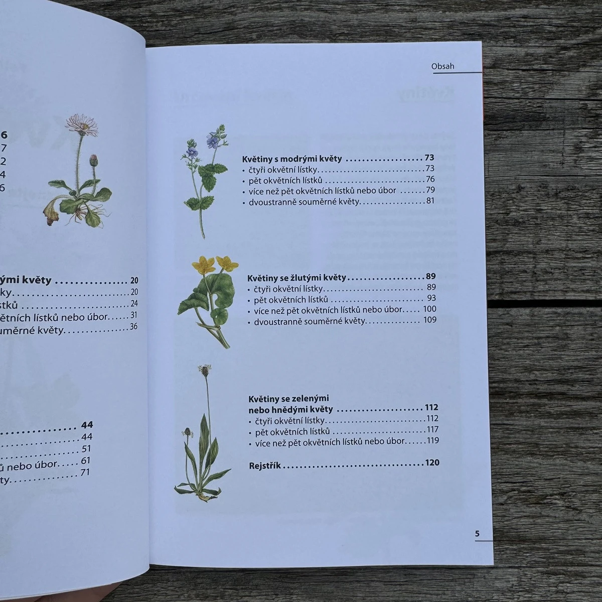 Květiny - rozpoznejte snadno 100 druhů - kniha - 1 ks