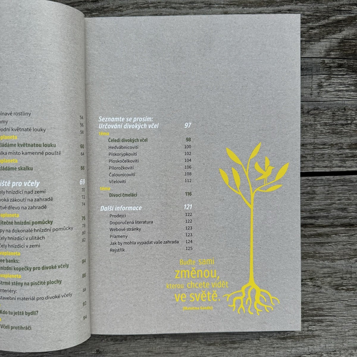 Jak zachránit včely - kniha - 1 ks