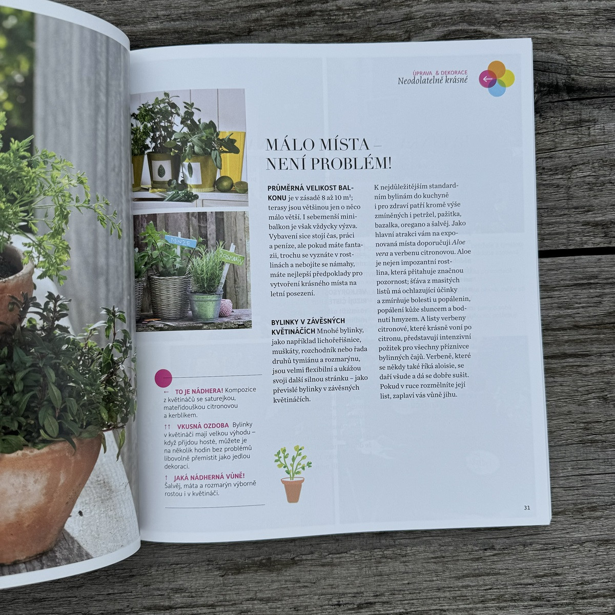 Bylinková radost - kniha - 1 ks