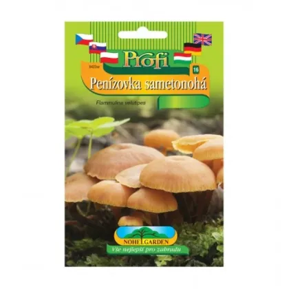 Sadba Penízovka sametonohá - Flammulina velutipes - sadba - 1 ks