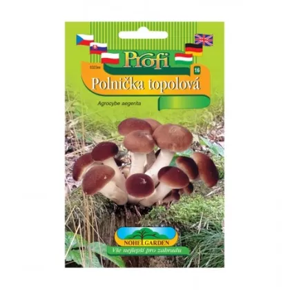 Sadba Polnička topolová - Agrocybe aegerita - sadba - 1 ks