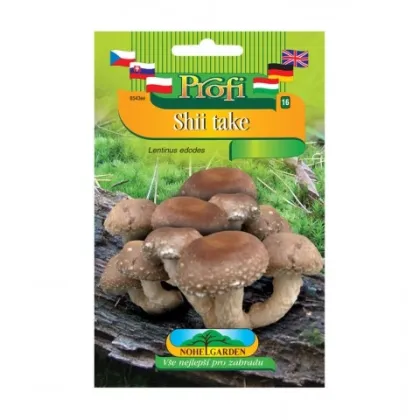 Sadba Shii take - Houževnatec jedlý - Lentinula edodes - sadba - 1 ks