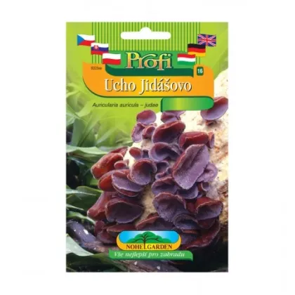 Sadba Ucho Jidášovo - Auricularia auricula-judae - sadba - 1 ks