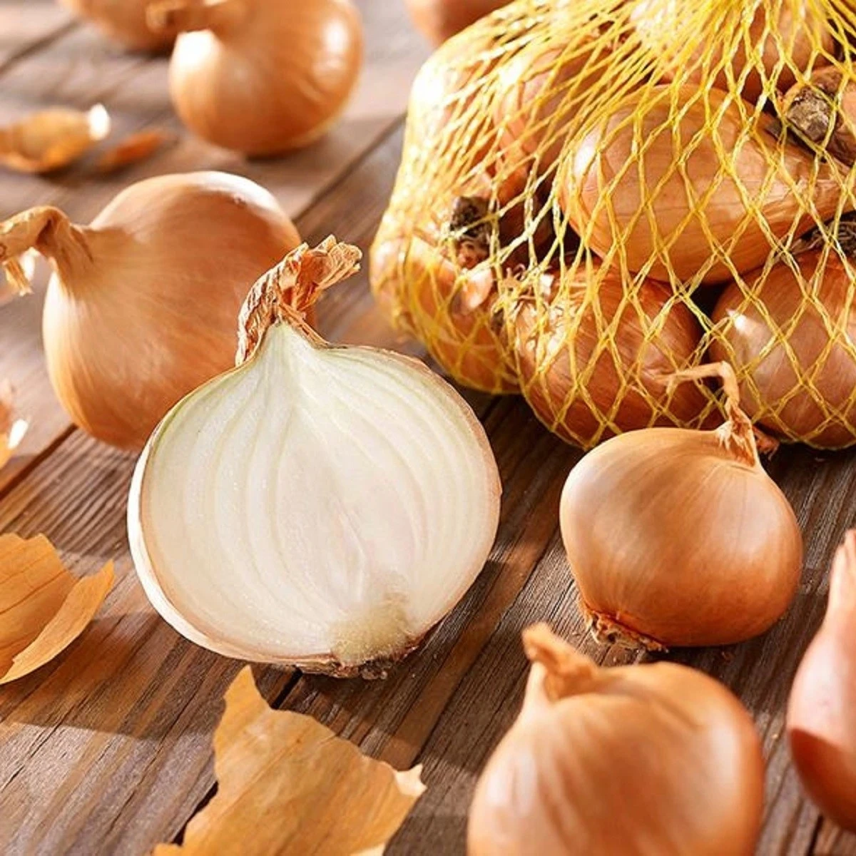 Cibule šalotka Golden Gourmet - Allium cepa - cibulky - 250 g