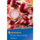Cibule sazečka červená Red Ray F1 - Allium cepa - cibulky - 50 ks