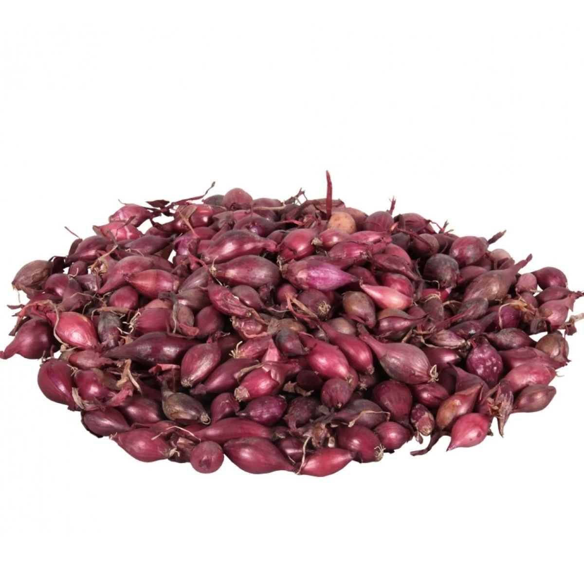 Cibule sazečka Karmen - Allium cepa - cibulky - 250 g