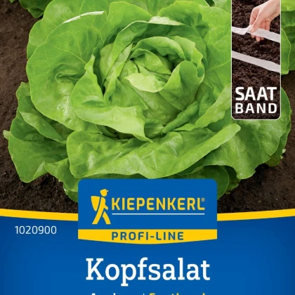 Salát Analena - výsevný pásek - Kiepenkerl  - 1 ks