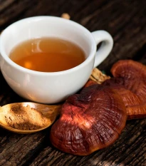 Sadba Lesklokorka lesklá - Ganoderma lucidum - sadba - 250 ml