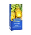 Zelené hnojení - krmná řepa Eckdogelb - semena - 60 g