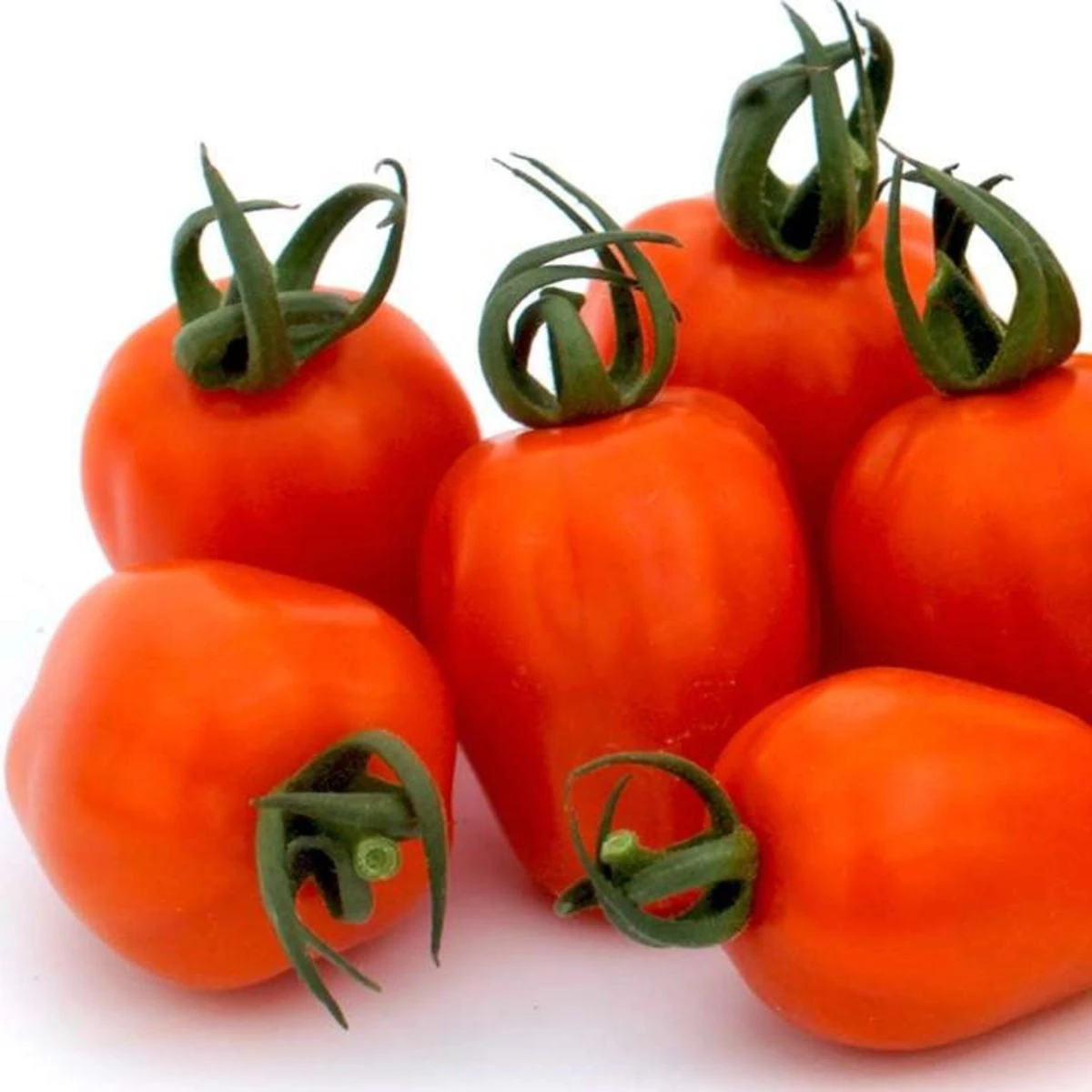 Rajče tyčkové Appleberry F1 PhR oranžové - Solanum lycopersicum - semena rajčete - 7 ks