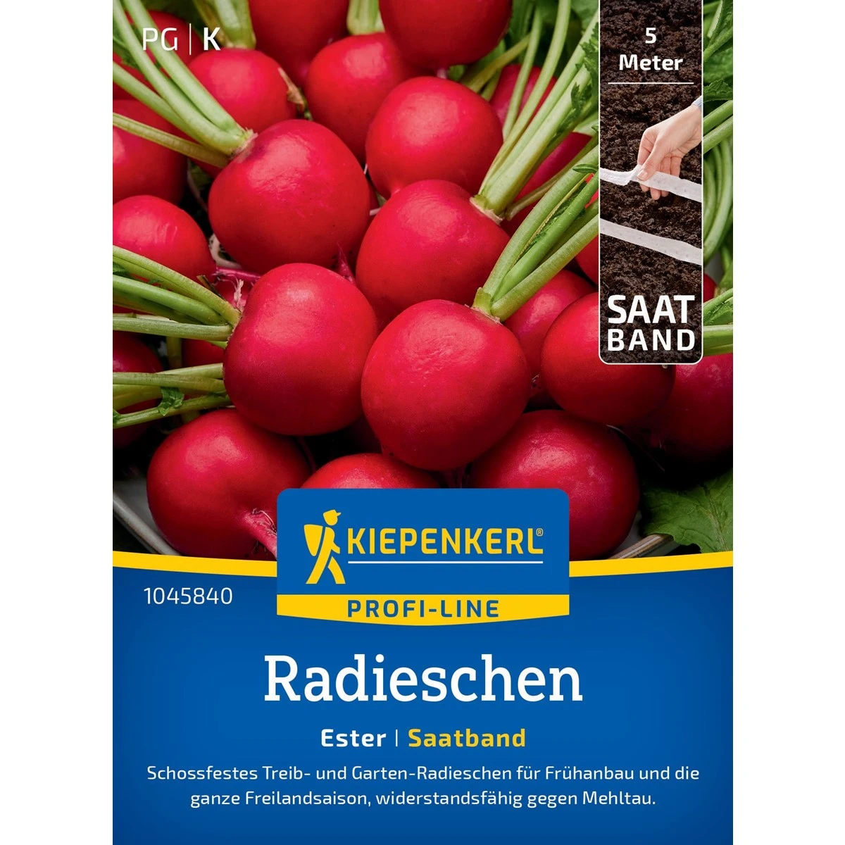 Semena ředkvičky Ester F1 - výsevný pásek - 5 m