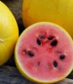 Meloun Golden Midget - Cucumis melo - semena melounu - 6 ks