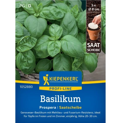 Semena bazalky Prospera - výsevný disk - 5 ks