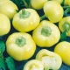 Paprika roční Jablina F1 - Capsicum annuum - semena papriky - 10 ks